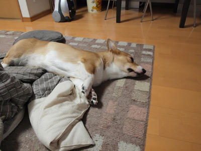 090815003.jpg