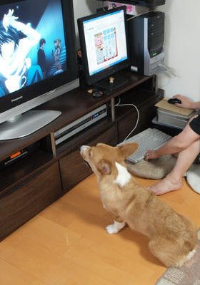 090815004.jpg