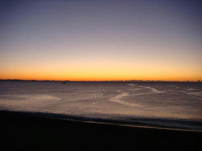 DSC04222ss.JPG