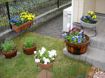 DSCN3871.JPG