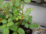 DSCN3877.JPG
