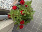IMG_0886.JPG