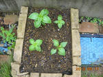 DSCN3910.JPG