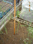 DSCN3921.JPG