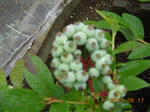 DSCN3922.JPG