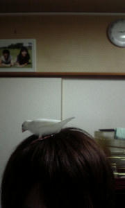 yua26.jpg