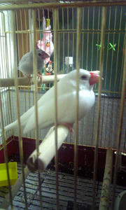 yua29.jpg