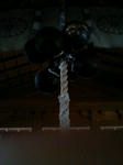 3d319b2bjpeg