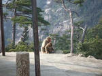 DSCF1280.jpg