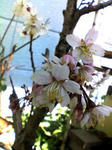 080323_1139~001.jpg