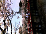 K3100006.JPG
