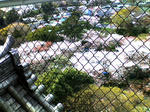 K3100014.JPG