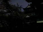 K3100007.JPG