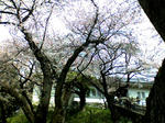 K3100008.JPG