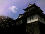 K3100018.JPG