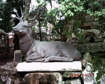 PICT0090.JPG