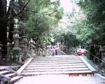 PICT0093.JPG