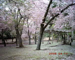 PICT0103.JPG