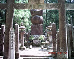 PICT0125.JPG