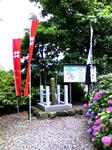 K3100003.JPG
