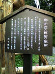 K3100009.JPG