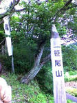 K3100012.JPG