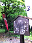 K3100024.JPG