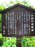 K3100026.JPG