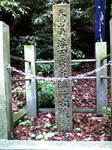 K3100030.JPG