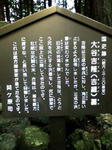 K3100033.JPG