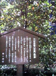 K3100036.JPG
