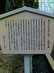 K3100042.JPG