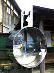 K3100046.JPG