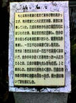 K3100049.JPG