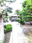 K3100061.JPG