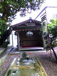 K3100064.JPG