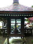 K3100065.JPG