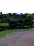 K3100115.JPG