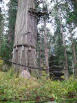 SANY0008.jpg