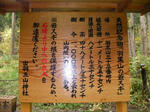 SANY0009.jpg