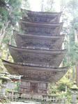 SANY0013.jpg