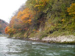SANY0072.jpg