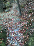 0c91d7e9.jpeg