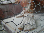 DSC03825.JPG