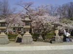 DSC03828.JPG