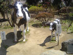 DSC03830.JPG