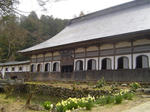 DSC03873.JPG