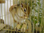 DSC04018.JPG