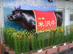 DSC03988.JPG