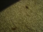 DSC04085.JPG